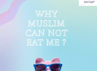 Mengapa Muslim Tidak Boleh Memakan Babi?