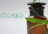 Collagen Collagen