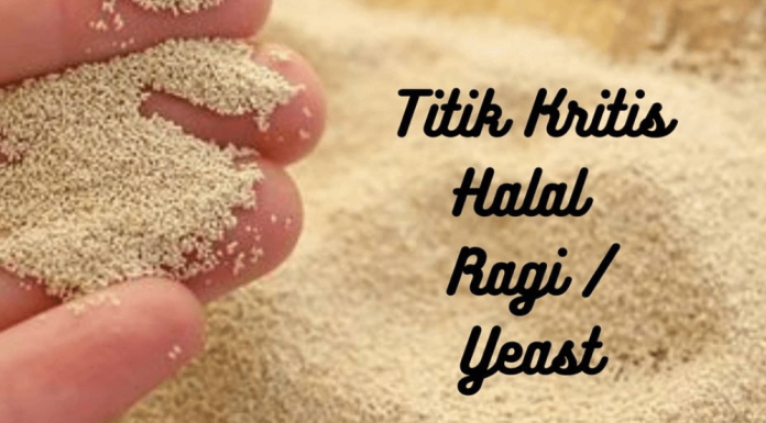 Titik Kritis Halal Ragi