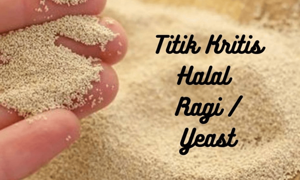 Titik Kritis Halal Ragi - The Halal Insights