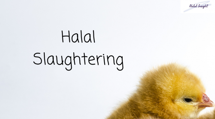 HALAL SLAUGHTERING