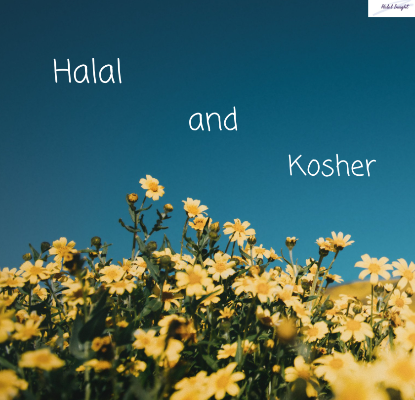 HALAL AND KOSHER - The Halal Insights