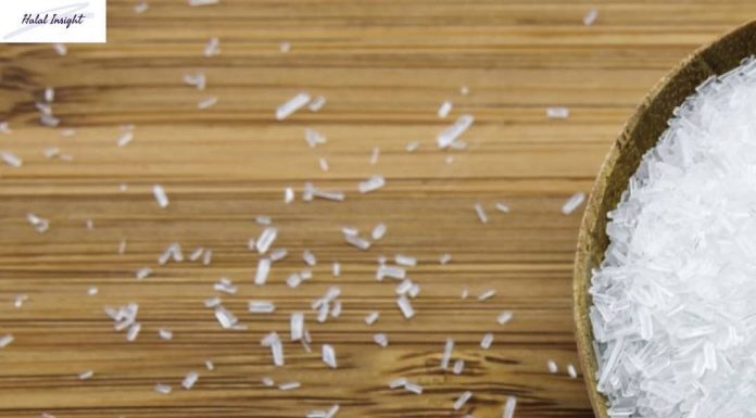 Titik Kritis Halal Penyedap Rasa Masakan