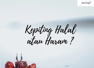 Kepiting Halal atau Haram ?