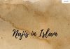 Najis in Islam