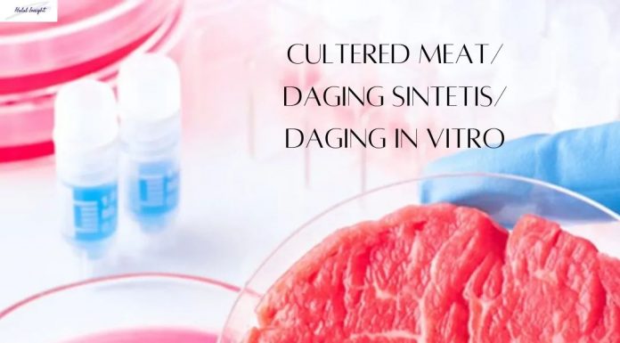 Cultered Meat/ Daging Sintesis/ Daging in Vitro