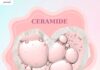 Ceramide